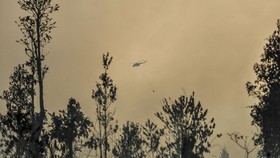 Semua Penumpang Heli TNI AD yang Mendarat Darurat di Blora Selamat