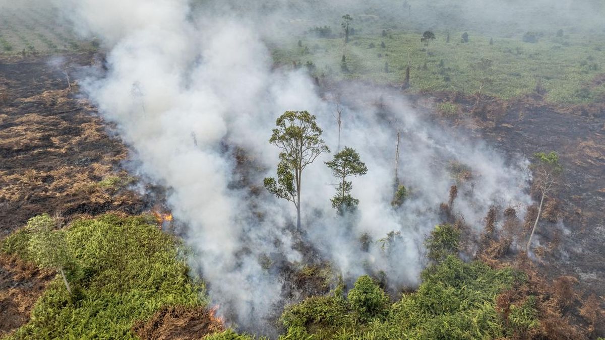 Karhutla di Lereng Gunung Batur Bali Capai 9,8 Hektar