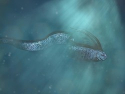 Oarfish Muncul, Begini Pandangan Al-Quran tentang Fenomena Hewan Laut