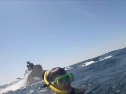 Momen Menegangkan, Pemandu Snorkeling Terlempar Paus ke Udara