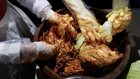 FOTO: Kimchi Terancam Jadi Korban Perubahan Iklim