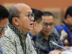 Perusahaan Singapura Minat Bangun Kebun Matahari di IKN