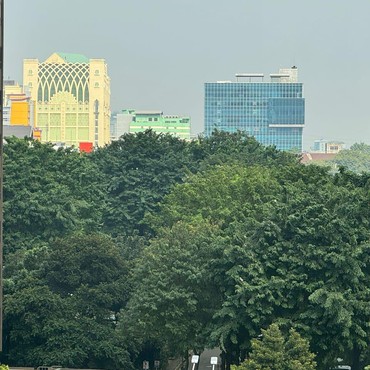 Kagum dengan Bangunan Tanah Abang, Rombongan Paus Fransiskus Kira Masjid Istiqlal