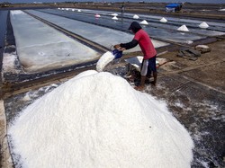 Indonesia Setop Impor Garam Mulai 2025, Siapkan Contoh Produksi di NTT
