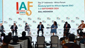 IAF 2024: Pertamina Ajak Afrika Kolaborasi Kembangkan Potensi Energi