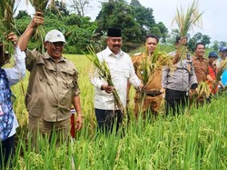 Bupati Kukar Edi Damansyah Gagas Pertanian Terpadu, Siap Pasok Pangan IKN