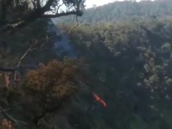 Kawasan Hutan di Gunung Tangkuban Parahu Kebakaran