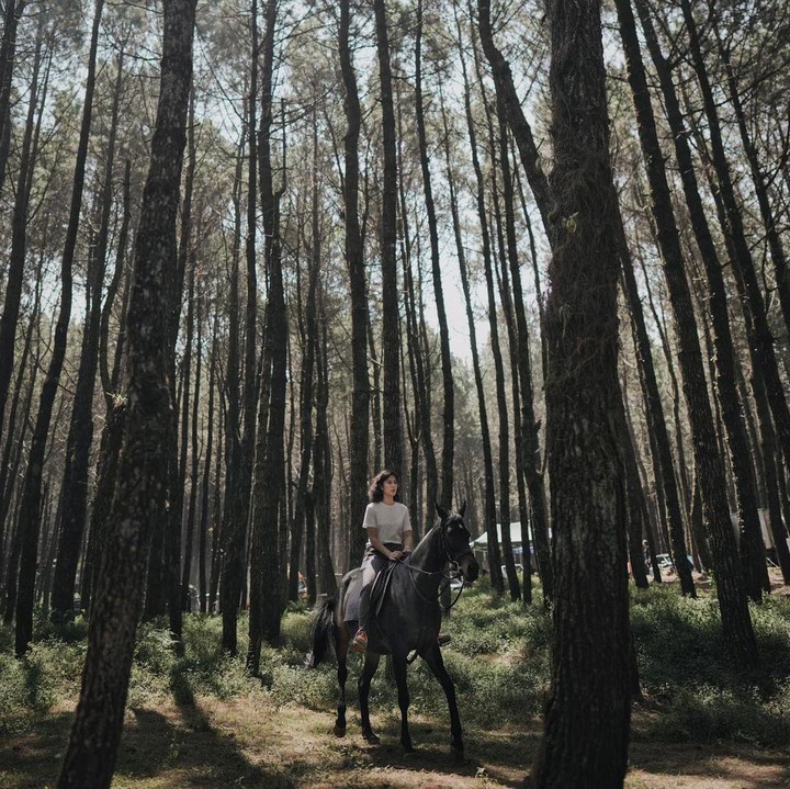 <p>Dalam unggahan di akun Instagram pribadi, bintang serial <em>Gadis Kretek</em> itu tampak menikmati suasana alam hutan pinus sambil menunggangi kuda. "Heaven on earth," tulisnya di <em>caption.</em> (Foto: Instagram @therealdisastr)<br /><br /><br /></p>