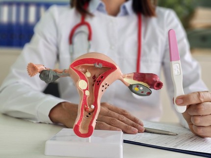Mengenal Fertilisasi dan Proses Terjadinya Kehamilan