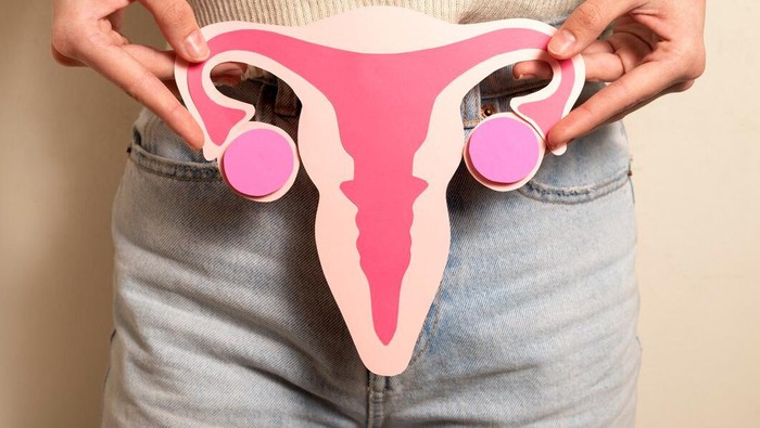 Cara Menjaga Kesehatan Organ Reproduksi Perempuan
