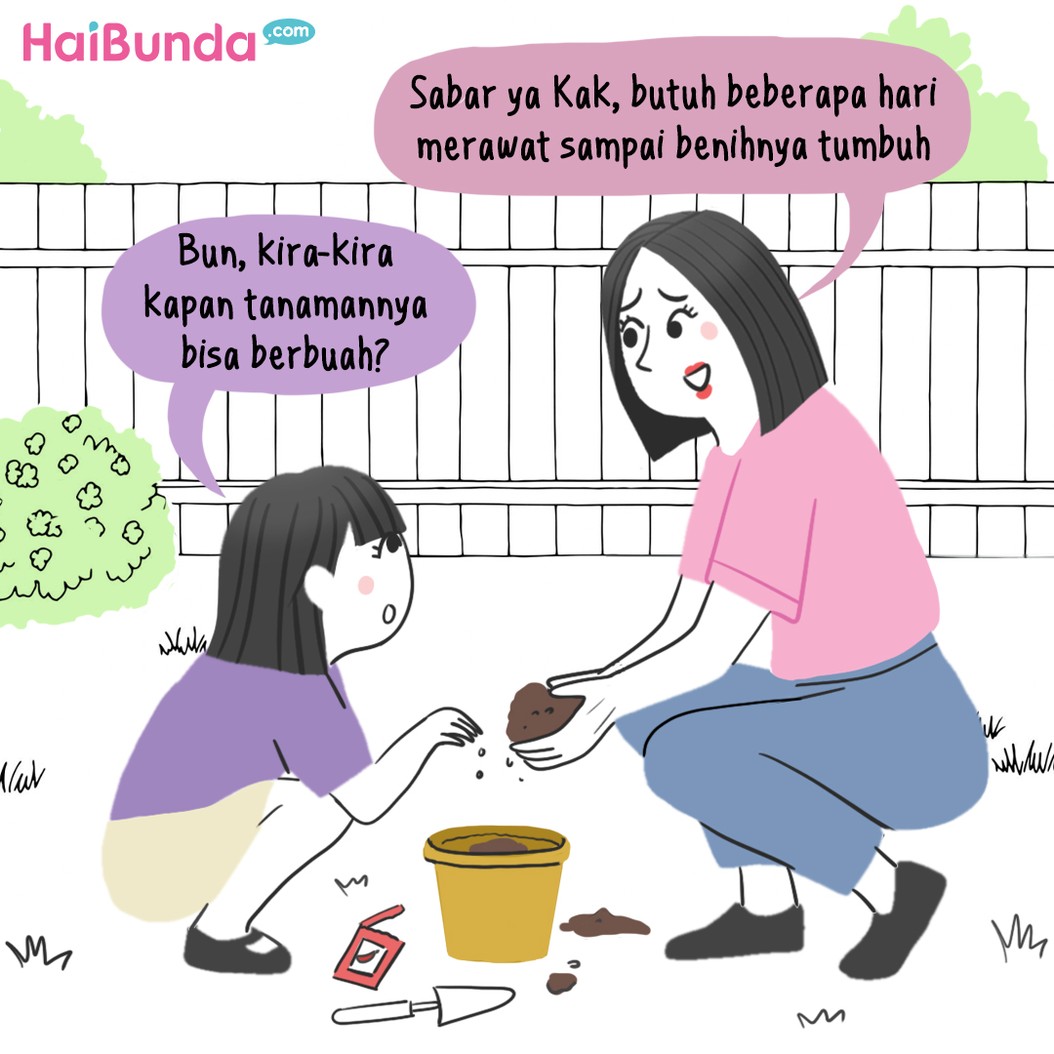 Bubun ingin berkebun di depan rumah, seperti cabai dan bumbu dapur agar gampang kalau mau masak. Namun, apakah tanamannya tumbuh dengan baik? Simak ceritanya.