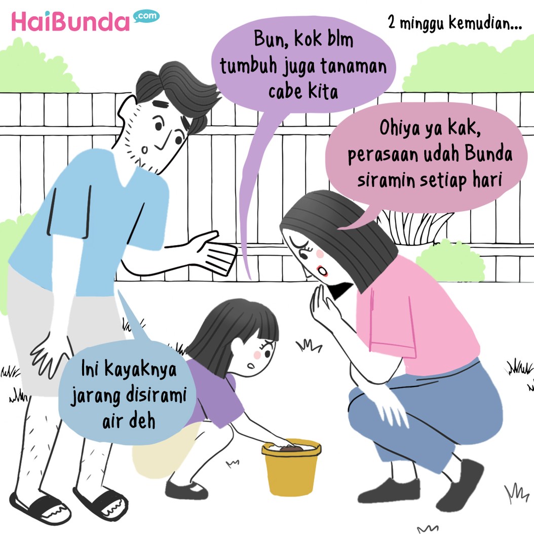 Bubun ingin berkebun di depan rumah, seperti cabai dan bumbu dapur agar gampang kalau mau masak. Namun, apakah tanamannya tumbuh dengan baik? Simak ceritanya.