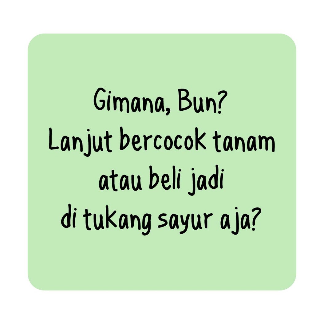Bubun ingin berkebun di depan rumah, seperti cabai dan bumbu dapur agar gampang kalau mau masak. Namun, apakah tanamannya tumbuh dengan baik? Simak ceritanya.