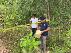 Petani Karet di Balangan Kalsel Bunuh IRT gegara Dikatai Korban Pembunuh