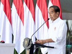 Jokowi Kenang Faisal Basri: Ekonom yang Kritis dan Detail