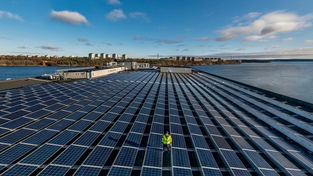 Tren 'Green Business' yang Menguntungkan di Tengah Kesadaran Lingkungan