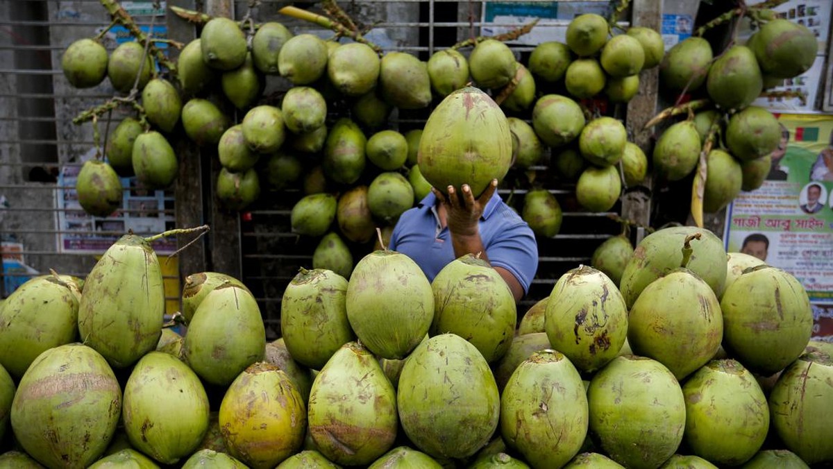 Waktu Terbaik Minum Air Kelapa agar Hasilnya Nampol, Jarang Orang Tahu