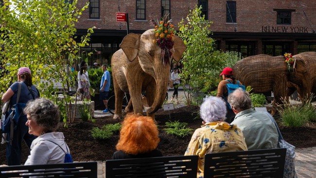 FOTO: Migrasi Besar-besaran Gajah India Telah Sampai New York
