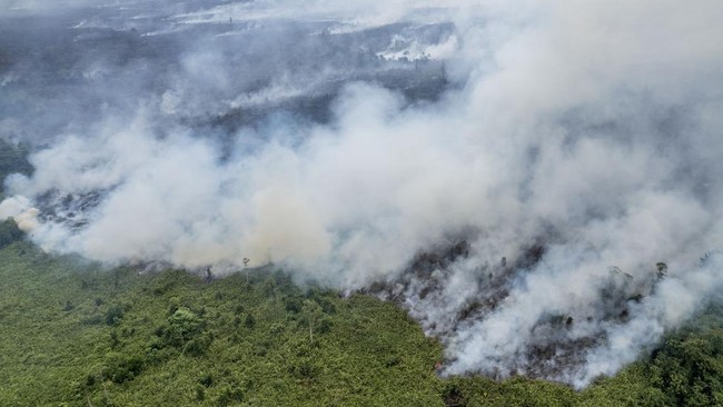 Ada tujuh daerah di Sumatera Selatan (Sumsel) menjadi lokasi waspada kebakaran hutan dan lahan (karhutla) saat kemarau panjang tahun ini.