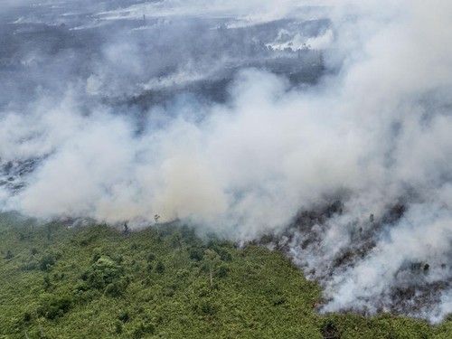 Wilayah Sumatera Masih Dikepung Karhutla: Riau, Sumbar hingga Sumsel