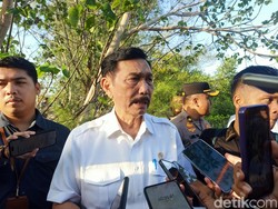 Geramnya Luhut soal Alih Fungsi Lahan di Bali hingga Gelar Ratas