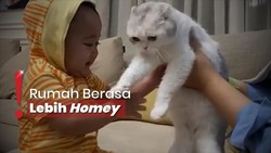 Pelihara Kucing, Nagita Slavina Ajarkan Anak Sayangi Hewan Sejak Kecil