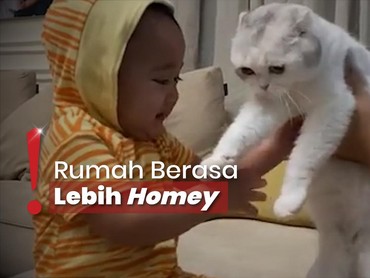 Pelihara Kucing, Nagita Slavina Ajarkan Anak Sayangi Hewan Sejak Kecil