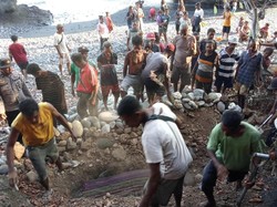Peneliti Kuak Penyebab Puluhan Paus Pilot Mati Terdampar di NTT