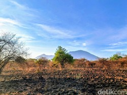 7 Fakta Menarik Wisata Banyuwangi, Sunrise of Java yang Memikat