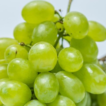 5 Manfaat Anggur Shine Muscat yang Viral, Bisa Turunkan Berat Badan hingga Bikin Awet Muda
