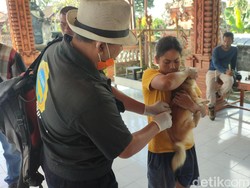 Vaksinasi Rabies Digelar di Desa Selanbawak Setelah Anjing Gigit Balita