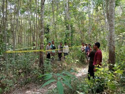 Sebelum Tewas Diinjak, Ibu Hamil 5 Bulan di Musi Rawas Sempat Usir Gajah
