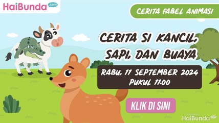Detik Network
