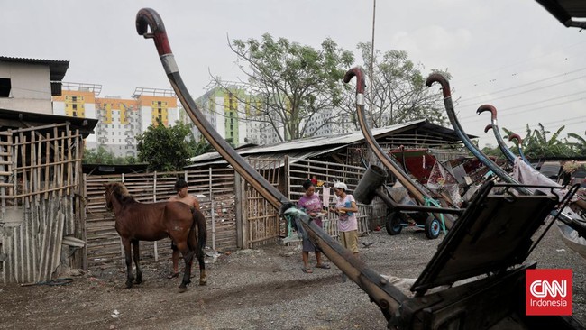FOTO: Melihat Kampung Kuda Delman di Jakarta Timur