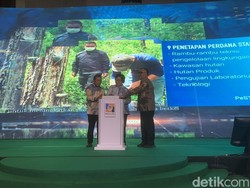 Menteri LHK: Prosedur Persetujuan Lingkungan Jangan Bikin Investor Susah