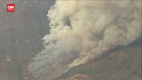VIDEO: Kebakaran Hutan Landa California, 292 Hektare Lahan Hangus