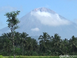 Gunung Semeru Erupsi Luncurkan Abu Vulkanik Setinggi 700 Meter
