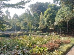 Santai Dulu Kawan, Rileks di Hutan Kota Ciganjur Ditemani Kicau Burung