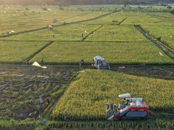 ADB Kucurkan Pendanaan Ketahanan Pangan di Asia Pasifik Jadi Rp 656 T