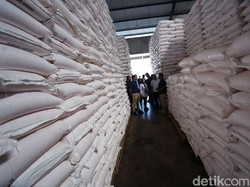 Catat! Ini Syarat Agar Petani Bisa Dapat Pupuk Subsidi