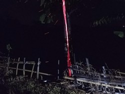 Fenomena Aneh Api di Pohon Jati Kuningan, Begini Kata Dosen Unpad