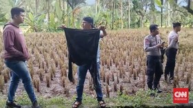 Polisi Temukan Baju hingga Cincin Milik Gadis Penjual Gorengan di TKP