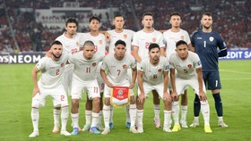 Susunan Pemain Bahrain vs Indonesia: Paes, Hilgers, Malik Starter
