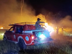 Kebakaran Kawasan TN Way Kambas Lampung Padam Usai Hujan 2 Hari