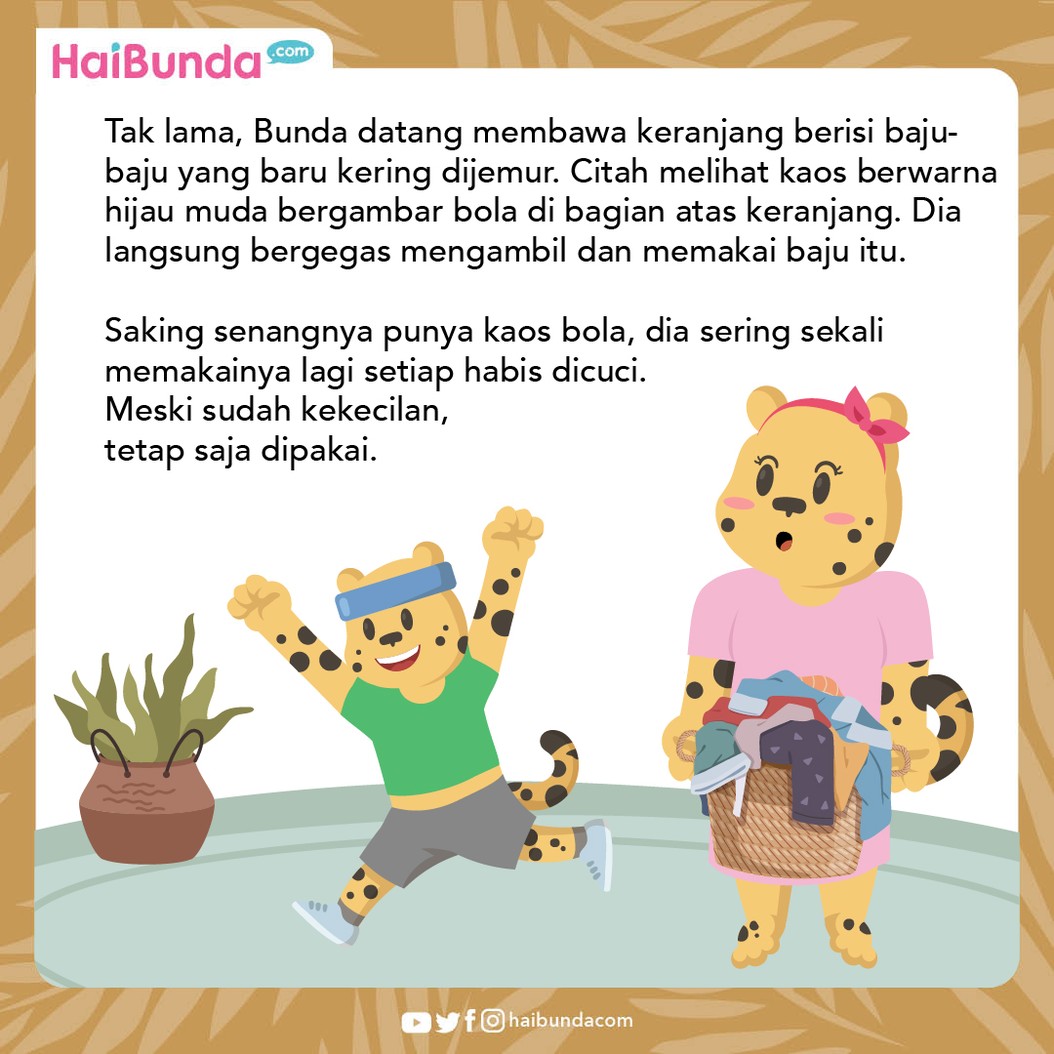 Citah memiliki baju kesayangan, yaitu kaos bergambar bola. Ia terus memakainya meski sudah kekecilan, dan tak mau menyumbangkan ke yang lain. Simak ceritanya.