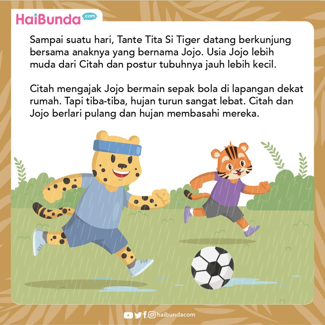 Citah memiliki baju kesayangan, yaitu kaos bergambar bola. Ia terus memakainya meski sudah kekecilan, dan tak mau menyumbangkan ke yang lain. Simak ceritanya.