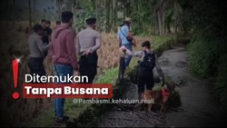 img-title Viral! Kisah Nia Kurnia Penjual Gorengan yang Tewas Mengenaskan