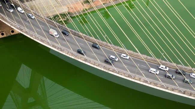 Sungai Pinheiros di Sao Paulo Brasil berubah warna jadi hijau zamrud akibat kekeringan parah.