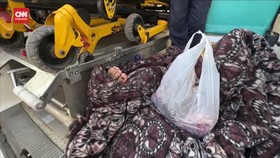 VIDEO: 6 Staf UNRWA Tewas saat Rudal Israel Hantam Gaza Tengah