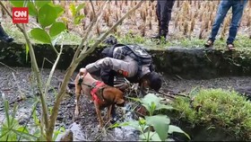 VIDEO: Polisi Kerahkan Anjing Pelacak Buru Pembunuh Gadis Gorengan